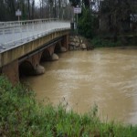 pont de Save .JPG